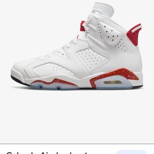 Air Jordan retro 6